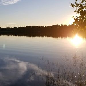 Meet your Posher, Lydia